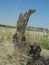 by michidoesoz, Views[193]