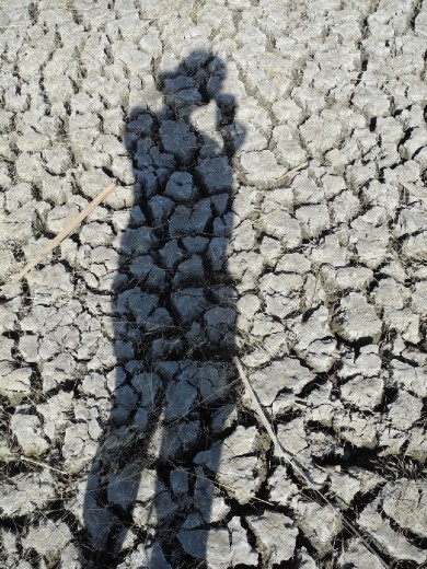 nope. definitely no swimming in that lake.looked so tempting on the map. oh well.