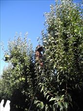 by michidoesoz, Views[183]