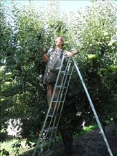 by michidoesoz, Views[165]