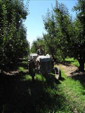 by michidoesoz, Views[187]