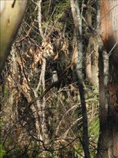 by michidoesoz, Views[179]