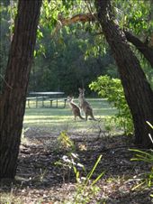 by michidoesoz, Views[179]