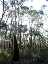 by michidoesoz, Views[169]