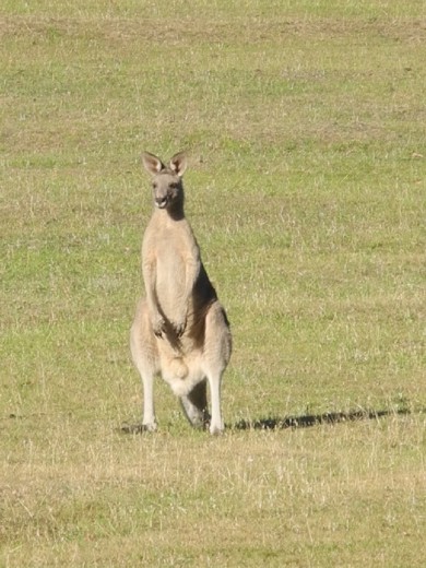 I am watching You Watching Me.