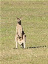 I am watching You Watching Me.: by michidoesoz, Views[197]