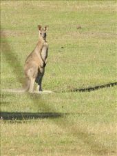 by michidoesoz, Views[216]