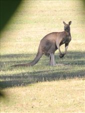 by michidoesoz, Views[164]