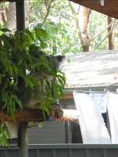 by michidoesoz, Views[176]