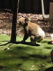 by michidoesoz, Views[165]