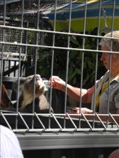 by michidoesoz, Views[133]