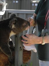 by michidoesoz, Views[176]