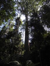 by michidoesoz, Views[317]