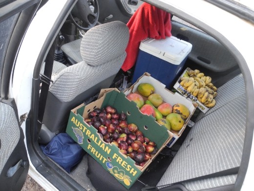 just in case there is no fruit near amamoor. we stocked up. ;) Thanks nick for the Fig connection and the mangoes!!! YUM!