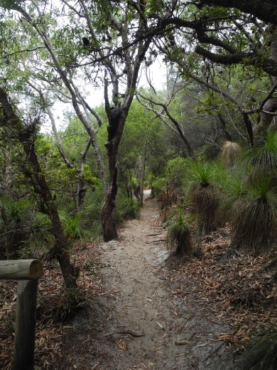 day trip to Noosa / sunshine beach (not so much sunshine...a beach nonetheless