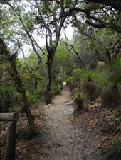 day trip to Noosa / sunshine beach (not so much sunshine...a beach nonetheless: by michidoesoz, Views[265]