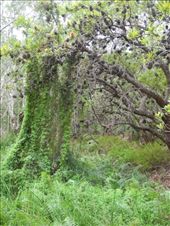 by michidoesoz, Views[247]