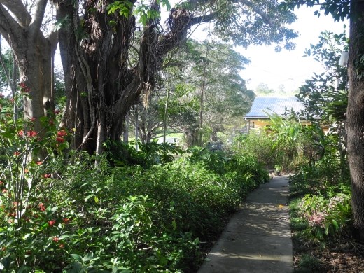 tucked away to the right is my future home. (un knowingly at the time the photo was taken) :)