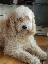 by michidoesoz, Views[216]