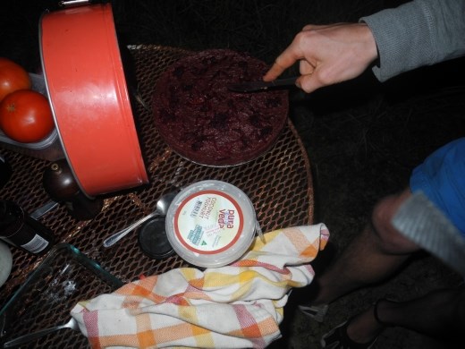 did anyone mention raw vegan choc-beetroot cake? coconut yogurt? a beer. a fire. an amazing man? I'm in!