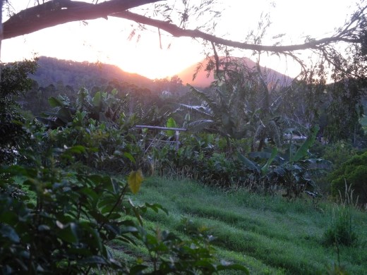 sunrise at bellbunya