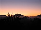 more lovely bellbunya sunrises: by michidoesoz, Views[150]