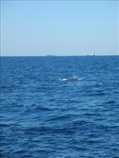 by michidoesoz, Views[106]