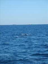 by michidoesoz, Views[159]