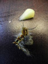 by michidoesoz, Views[103]