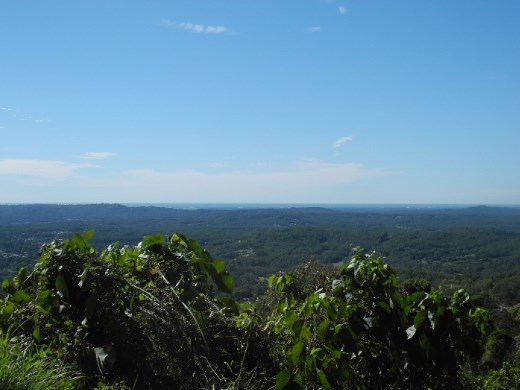 view from montville