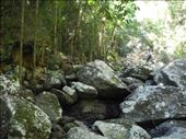 Kondalilla National Park: by michidoesoz, Views[128]
