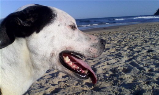 My new bestie. Clutch. 