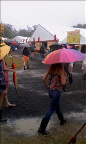 by michidoesoz, Views[192]