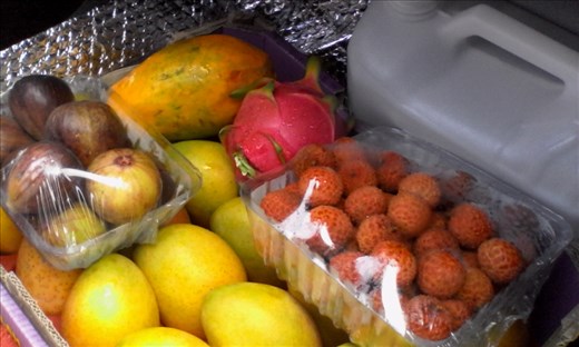 Thank you Queensland for being an awesome fruit paradise 