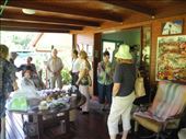 on our first day of wwoofing we got taken to the rare fruits lovers meeting in cairns. and explored one man's urban paradise where he grows rollinas, pomelos, five corner fruit, nanas...and more :-) what a treat!: by michidoesoz, Views[187]