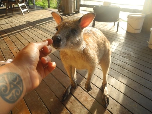 :-) she's a cheeky missus. but oh so cute