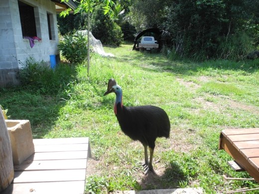 hello there. you are pretty but a little bit intimidating. :)