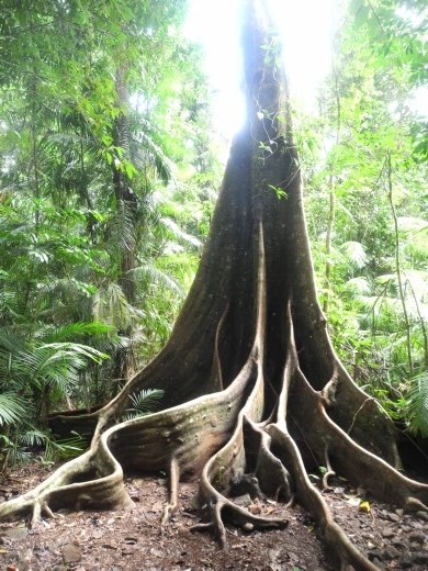on the way north. Nandroya falls
