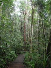 by michidoesoz, Views[199]