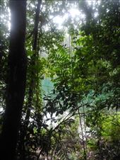 by michidoesoz, Views[213]