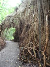 by michidoesoz, Views[221]