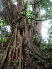 by michidoesoz, Views[219]