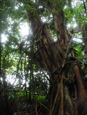 by michidoesoz, Views[225]