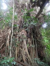 by michidoesoz, Views[211]