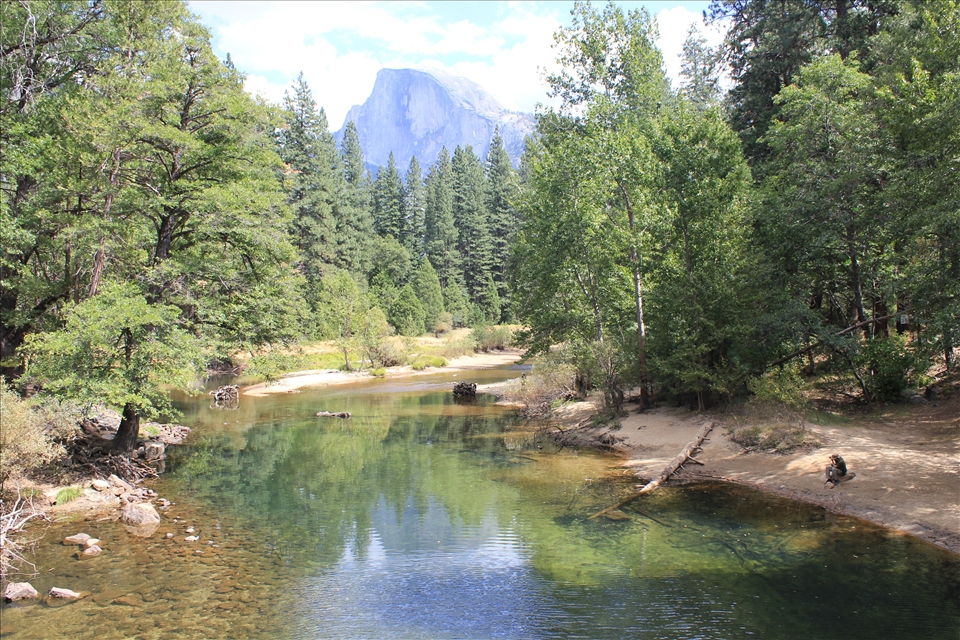 Looking up at El Capitan in Yosamite NP