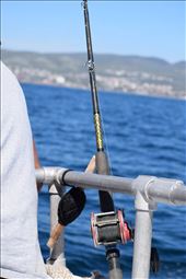 by midlife_nomad, Views[254]