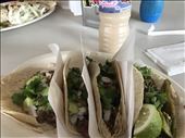 Steak Tacos (tacos de carne asada) : by midlife_nomad, Views[226]