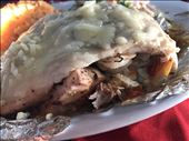 Stuffed fish fillet: by midlife_nomad, Views[229]