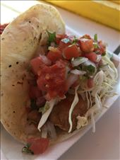 Famous fish tacos: by midlife_nomad, Views[362]