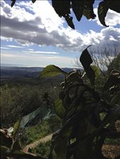 View from the Garden: by midwesternerabroad, Views[252]